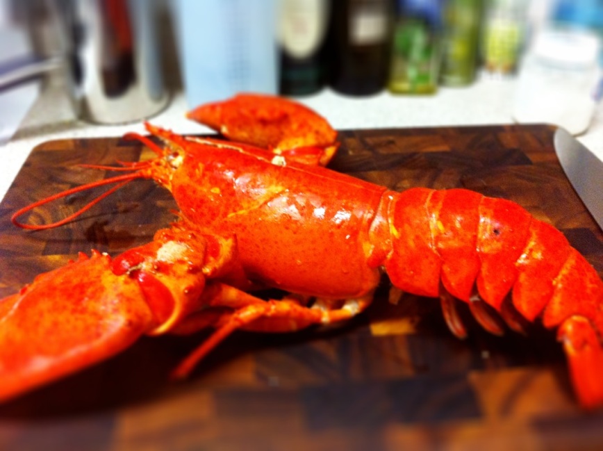 How To Cook a Lobster